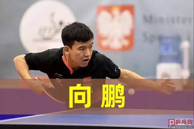 尤其是在西 尤其是在西